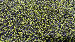 Interface Sherbet Fizz / Bouclé / 50 cm x 50 cm / Grün