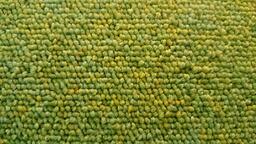 Interface Heuga 584 / Bouclé / 50 cm x 50 cm / Grün