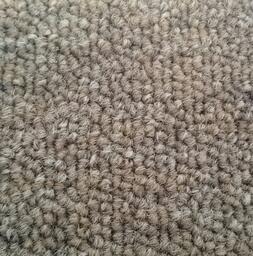 Suchen Sie nach Private Label Teppichfliesen? Cobra in der Farbe Nature ist eine ausgezeichnete Wahl. Sehen Sie sich diese und andere Teppichfliesen in unserem Webshop an.