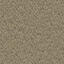 Suchen Sie nach Interface Teppichfliesen? Concrete Mix - Broomed in der Farbe Cobblestone ist eine ausgezeichnete Wahl. Sehen Sie sich diese und andere Teppichfliesen in unserem Webshop an.
