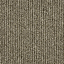 Suchen Sie nach Interface Teppichfliesen? Elevation II in der Farbe Linen Shade ist eine ausgezeichnete Wahl. Sehen Sie sich diese und andere Teppichfliesen in unserem Webshop an.