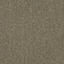 Suchen Sie nach Interface Teppichfliesen? Elevation II in der Farbe Linen Shade ist eine ausgezeichnete Wahl. Sehen Sie sich diese und andere Teppichfliesen in unserem Webshop an.