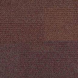 Suchen Sie nach Interface Teppichfliesen? Entropy II in der Farbe Amethyst ist eine ausgezeichnete Wahl. Sehen Sie sich diese und andere Teppichfliesen in unserem Webshop an.