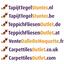 Suchen Sie nach Interface Teppichfliesen? Menagerie in der Farbe Swiss ist eine ausgezeichnete Wahl. Sehen Sie sich diese und andere Teppichfliesen in unserem Webshop an.