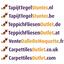 Suchen Sie nach Interface Teppichfliesen? Heuga 727 in der Farbe Hot Pink ist eine ausgezeichnete Wahl. Sehen Sie sich diese und andere Teppichfliesen in unserem Webshop an.