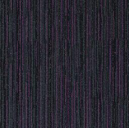 Suchen Sie nach Interface Teppichfliesen? Infuse in der Farbe Prudential Purple ist eine ausgezeichnete Wahl. Sehen Sie sich diese und andere Teppichfliesen in unserem Webshop an.