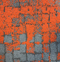 Suchen Sie nach Interface Teppichfliesen? Human Connection in der Farbe Moss Grey/Orange 4.000 ist eine ausgezeichnete Wahl. Sehen Sie sich diese und andere Teppichfliesen in unserem Webshop an.