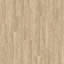 Suchen Sie nach Interface Teppichfliesen? Textured Woodgrains Planks (Vinyl) in der Farbe Rustic Cashew ist eine ausgezeichnete Wahl. Sehen Sie sich diese und andere Teppichfliesen in unserem Webshop an.