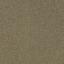 Suchen Sie nach Interface Teppichfliesen? Heuga 580 in der Farbe Sisal ist eine ausgezeichnete Wahl. Sehen Sie sich diese und andere Teppichfliesen in unserem Webshop an.