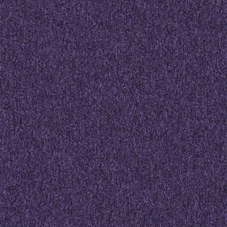 Suchen Sie nach Interface Teppichfliesen? Heuga 727 in der Farbe Purple ist eine ausgezeichnete Wahl. Sehen Sie sich diese und andere Teppichfliesen in unserem Webshop an.