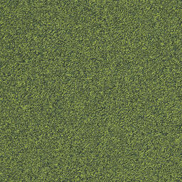 Interface Biosfera Boucle / Bouclé / 50 cm x 50 cm / Grün