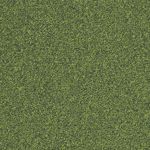 Interface Biosfera Boucle / Bouclé / 50 cm x 50 cm / Grün